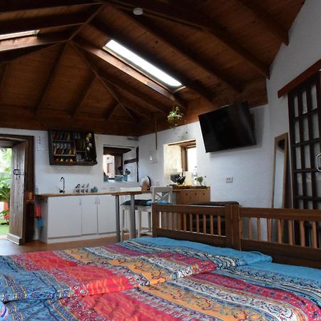 Finca Casa Madera 1 イコー・デ・ロス・ビノス エクステリア 写真