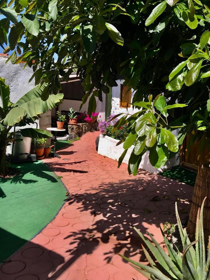 Finca Casa Madera 1 イコー・デ・ロス・ビノス エクステリア 写真